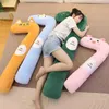 Able Cuddly Animal Gravid Cute Pillows Filled Dinosaur Cuddle Doll Boyfriend Kawaii Pillows For Women Födelsedagspresent J220729