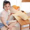 4080 cm Mooie pluche leugenachtige kussen kussen Super zacht knuffel Toys Cats Cushion Home Sofa Cushion For Kids Birthday Xmas Gift J220729