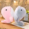 Super Doux 30Cm 1Pc En Peluche Animaux De La Mer Dauphin Poupées ldren Doux En Peluche Peluche Beaux Enfants Brinquedo Cadeaux D'anniversaire J220729