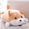 3555Cm Mignon Graisse Shiba Inu Chien Câlin En Peluche Doux Kawaii Animal Belle Bande Dessinée Oreiller Pour Ldren Bébé Ldren Cadeaux D'anniversaire J220729