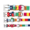 Rainbow Stripes Fashion Dog Collar Justerbar H￥llbar f￤rgfast l￤mplig f￶r sm￥ hundstorlek extra