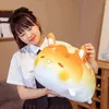 漫画かわいい動物ぬいぐるみ甘いパンクッションスーパーソフトバニードッグベアドール