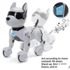 Electricrc Animals RC Remote Control Robot Dog Toys with Touch Fonction and Voice Smart Dancing imite Animals Mini Pet Program5561638