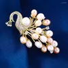 Brooches Fashion Peacock Freshwater Pearl Brooch High-end Creative Atmosphere Coat Wedding Corsage Accessories