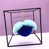 Portachiavi 5 PZ/LOTTO Peluche Frutta Miele Pesca 9 cm Portachiavi Donna Per Decorazioni Auto Accessori Ciondolo Borsa Ragazze