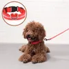 Hondenkragen LED Kraaglicht Anti-Lost Special voor honden Puppy's Night Luminous Supplies Pet Products Accessoires Batterij