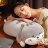 4060cm Cartoon Animal Husky Cat en peluche Touet en peluche couchée molle coule