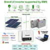 Powerwall 48V 5 кВт 100AH ​​BipePo4 Батарея 6000 циклов 16S 100A BMS с CAN 485 COM для Solar OFF/ON GRID 10-летняя гарантия