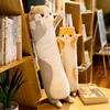 Plush Dolls Lovely Long Cat Toys Pillow Soft Sleeping Cushion Nap Stuffed Animal Kawaii Toy Children Girls Valentines 221125