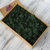 Decorative Flowers DIY Moss Wall Artificial Dried Natural Preserved Floral For Decorating Home Wedding Party Decoration