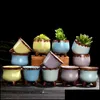 Pflanzgefäße Töpfe Mini Succent Fleshy Blumentopf Crude Y Color Mix Thumb Pots Portable Home Desktop Decor 2 9Yj E1 Drop Delivery Garden Dhokc