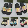 Summer Hollow Plat Designer Flippers de luxo Moda TPU Cor s￳lida Mulheres l￢minas de lascas Flip Flip Shoes Flip Flip Flop Teal Gold Beach Indoor Indoor