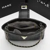 Leather Bucket Bag Women 2023 New Large Capacity Msenger Decorative Chain Tiktok Sheep