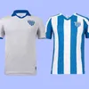 22 23 Avai FC voetbalshirts Vieiraldo Junior Mauro Cildinho Leoo Da Ilha 2022 2023 Robson Denho Alvildo Sousa weg Men Foolball Shirt S-XXL