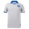 22 23 Avai FC Soccer Jerseys Vieiraldo Junior Mauro Cildinho Leao Da Ilha 2022 2023