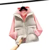 Trenchs de femmes manteaux 2022 printemps automne coton gilets veste manteau vêtements pour femmes col montant gilet court fermeture éclair filles vêtements d'extérieur 176