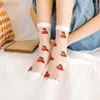 Men's Socks Products Women's Shui Guo Ka Silk Stockings Ins Koreanスタイルの透明なガラスチューブ超薄型通気性クールネットワーク