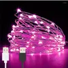 Dizeler 10m Light String Noel LED LED RENK LAMP USB Bakır Çiçek Ambalaj Dekorasyonları
