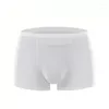 Underpants Luxury Sexy Men's Boxers Solid Color Ice Silk Seamless Soft Thin Male Underwear Man Homme Cueca L-3XL