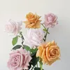 Декоративные цветы розовые розовые арт -дизайн дизайнер