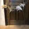 Decorative Flowers Reed Dry Flower And Artificial Of Setaria Viridis Dried Decoration Decorations Festive Party Supplies Home Garden