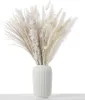 Decoratieve bloemen 85 stengels Gedroogde pompeuze grasstaarten Natuurlijk Reed Boho Home Decor Ideaal voor bruiloftdecoratie Dekoratie