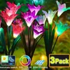 3pcs/حزمة مصابيح العشب 4 LED ضوء الطاقة الشمسية في الهواء الطلق زهرة الاصطناعية الديكور الإضاءة مصباح مقاوم للماء