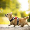 Hundhalsar Leasches Reflektiv Harness Nylon Pitbull Pug Small Medium Harnesses Vest Bling Bowknot Accessories Pet Supplies 221125