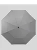 Антевые автоматические высококачественные зонтичные дождь Женщины Мода с длинной ручкой водонепроницаемой ветроизоталенной парагуасы BS50ys