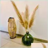 Decoratieve bloemen kransen 20 stks/veel decoratieve bloemen groothandel phragmites natuurlijke gedroogde decoratieven pampas gras voor huis weddi dhvpg