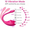 Seks Oyuncak Masajı Vibratör Kadın Uzaktan Kumanda Kablosuz Konsolu G-Spot Klitoral Stimülatör Oyuncaklar