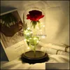 装飾的な花の花輪のローズLEDガラスの装飾的な花ドームレッドローズバレンタインマザーズデイスペシャルロマンチックギフト202201 DHYBC