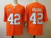 Mens Tee Higgins DeShaun Watson Clemson Football Jersey Stitched Hunter Renfrow 42 Christian Wilkins 8 Justyn Ross Clemson Tigers Jerseys