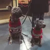 ملابس الكلاب الكلاسيكية طباعة سترة كبيرة ل Mdium كبيرة S Winter Pet Cloths Greyhound Labrador pullovers زي التميمة 221128