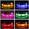 Colliers de chien clignotant brillant dessin animé Led collier lumière USB Rechargeable nuit sécurité Nylon chats Perro chiot accessoires articles pour animaux de compagnie