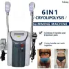 Portable Fat Freezing Slimming Machine 360 Cryo Handles Cryotherapy Equipment Face Lifting And Firming Skin Rejuvenation Wrinkles Reduction Body Sculpting