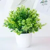 Fleurs décoratives Simulation intérieur bonsaï plantes vertes nordique Ins en pot salon chambre magasin comptoir décoration ornements