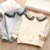 Pullover Spring Autumn Fashion 2 3 4 6 7 8 9 10 11 12 Years Children Outwear Cotton Lace Patchwork Sweatshirt For Kids Baby Girls 221128