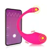 Sex Toy Massager Bluetooth Dildo Vibrator for Women Wireless App Remote Control Wear Vibrating Panties Couple Shop