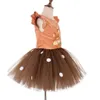 Populaire princesse robe de noël pour enfant en bas âge fête Cosplay Costume danse porte jolies filles robe Dancewear FS7836