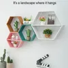 Novelty Items Nordic Style Wooden Decor Wall Mount Hexagonal Frame Books Toys Flower Pot Storage Shelf Holder Figurines Display Crafts Shelves 221129