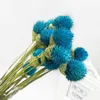 Dekorative Blumen, kleine Erdbeerfrucht, Gras, natürliche Trockenblume, Heimdekoration, Hochzeitsstrauß, Hochzeitszimmer, Valentinstagsgeschenk, Harz