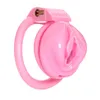 Pink Masturbators Pussy Manlig kyskhetsenheter med 4 penisringar Liten kukbur Chastity Lock Bdsm Slave Sex Toy for Man Gay