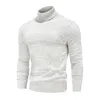 Men's Sweaters Winter Turtleneck Cotton Slim Knitted Pullovers Men Solid Color Casual Male Autumn Knitwear 221128