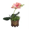 Decorative Flowers Artificial Phalaenopsis Potted Simulation Flower Plant Pot Fake Orchid Desktop Ornaments Home Party Wedding Floral