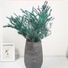 Decoratieve bloemen 1 boeket echt gedroogd natuurlijk bewaard gebleven voor altijd melaleuca bracteata eeuwig gras voor woningdecoratie