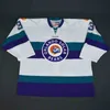 ECHL CUSOTM VINTAGE ORLANDO SOLAR BEARS 27 ERIC FAILLE 29 David Bell 3 Carl Hockey Jersey Stitched Embroidered Any Name Your Number