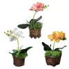 Decorative Flowers Artificial Phalaenopsis Potted Simulation Flower Plant Pot Fake Orchid Desktop Ornaments Home Party Wedding Floral