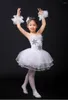 Stage desgaste de 1 peça Girls Ballet Dress Swan Dance Adult White Veil Condole Tutu