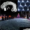 Led Strings Net Light Strings 110V 220V Holiday String 1.5Mx1.5M 2Mx Warm White Rgby Xmas Christmas Wedding Fairy Twinkle Decora Dhrhn